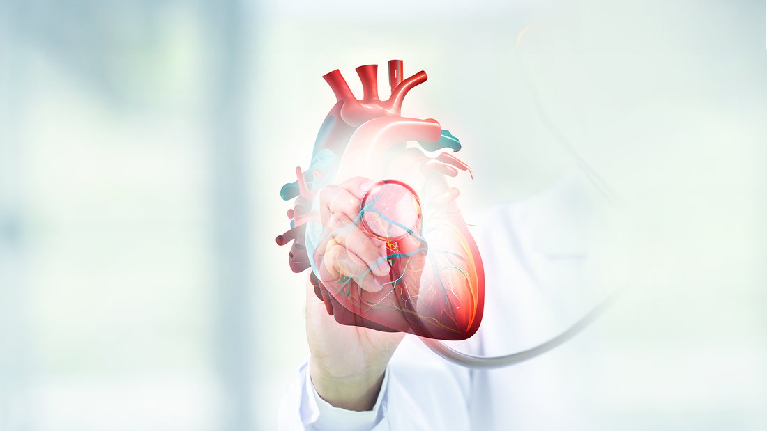 How the Food You Eat Shapes Heart Disease Risk Over Time