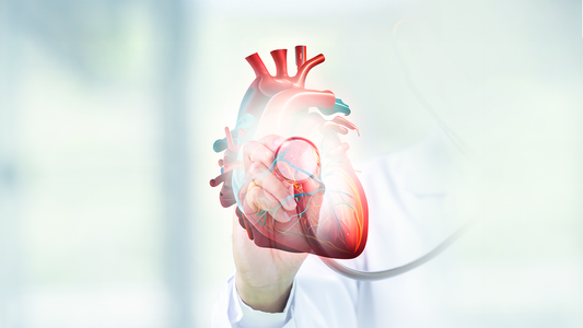 How the Food You Eat Shapes Heart Disease Risk Over Time