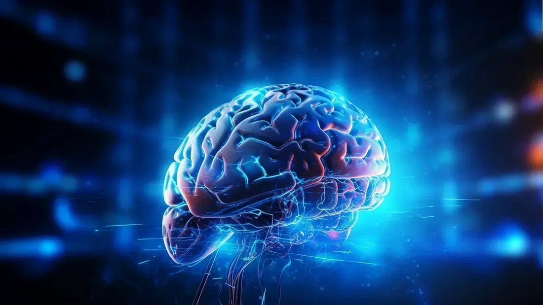 Brain Health Fundamentals: A Simple, Science-Based Guide for Everyday Americans