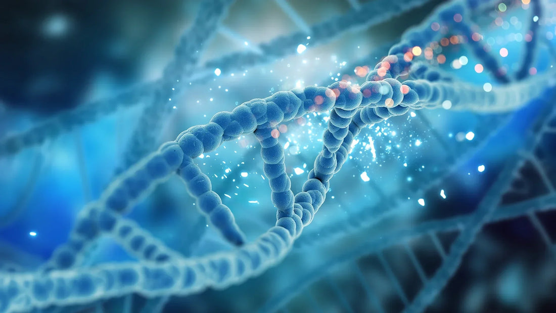 What Is Personalized DNA Health Testing and How Does It Change Your Care?