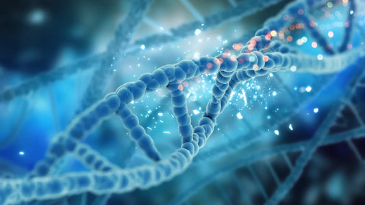 What Is Personalized DNA Health Testing and How Does It Change Your Care?