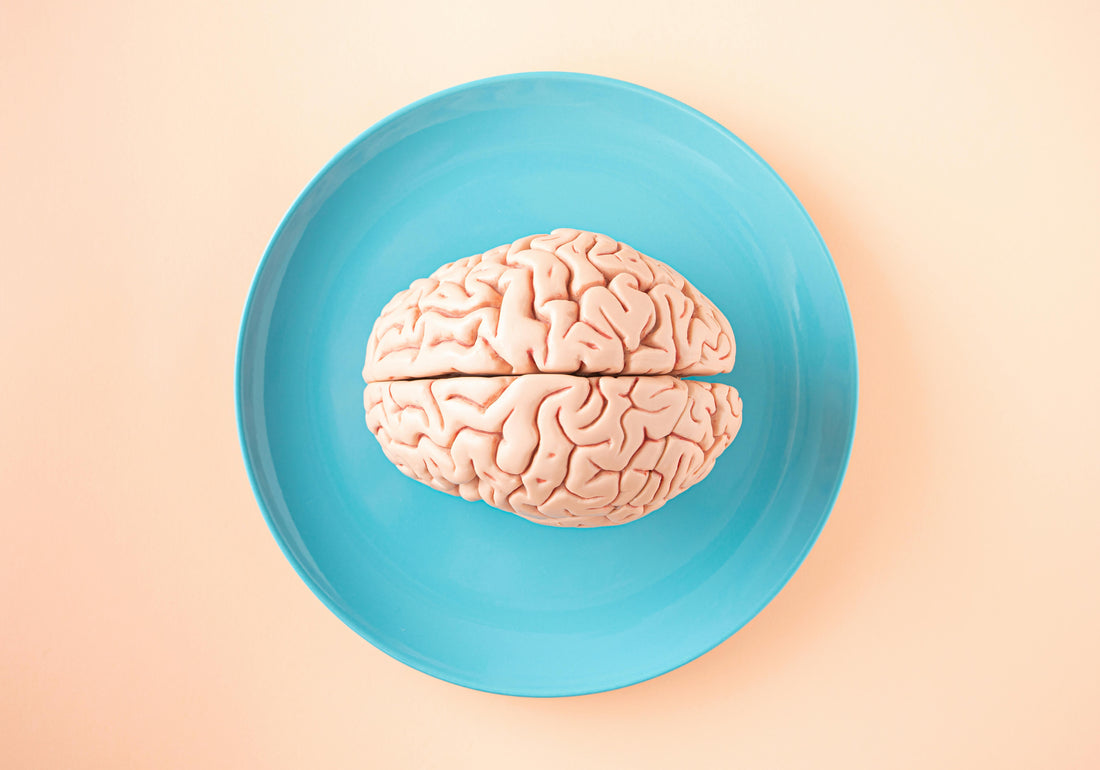 Human brain illustration centered in a blue circle on a warm neutral background, symbolizing brain health as a core pillar of optimization