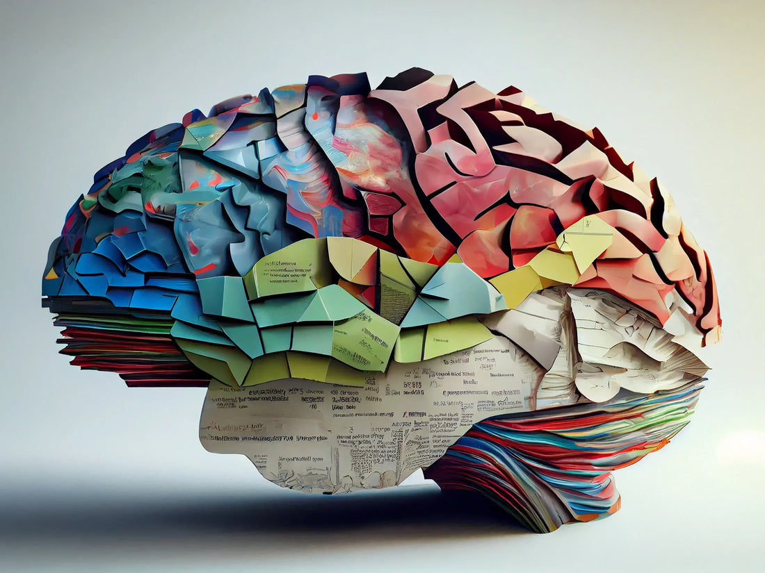 Memory Improvement Techniques for Better Brain Function