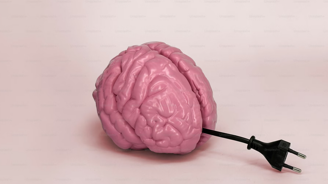 Pink brain model with a power cord plugged into it, symbolizing the energizing and upgrading effects of exercise on brain function